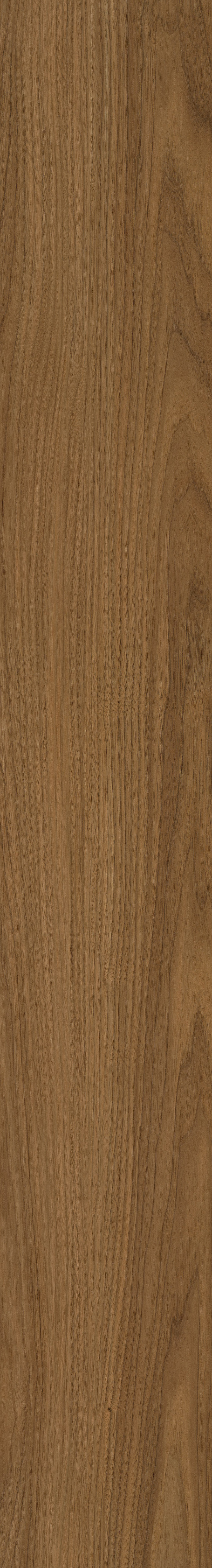 LVT19220005